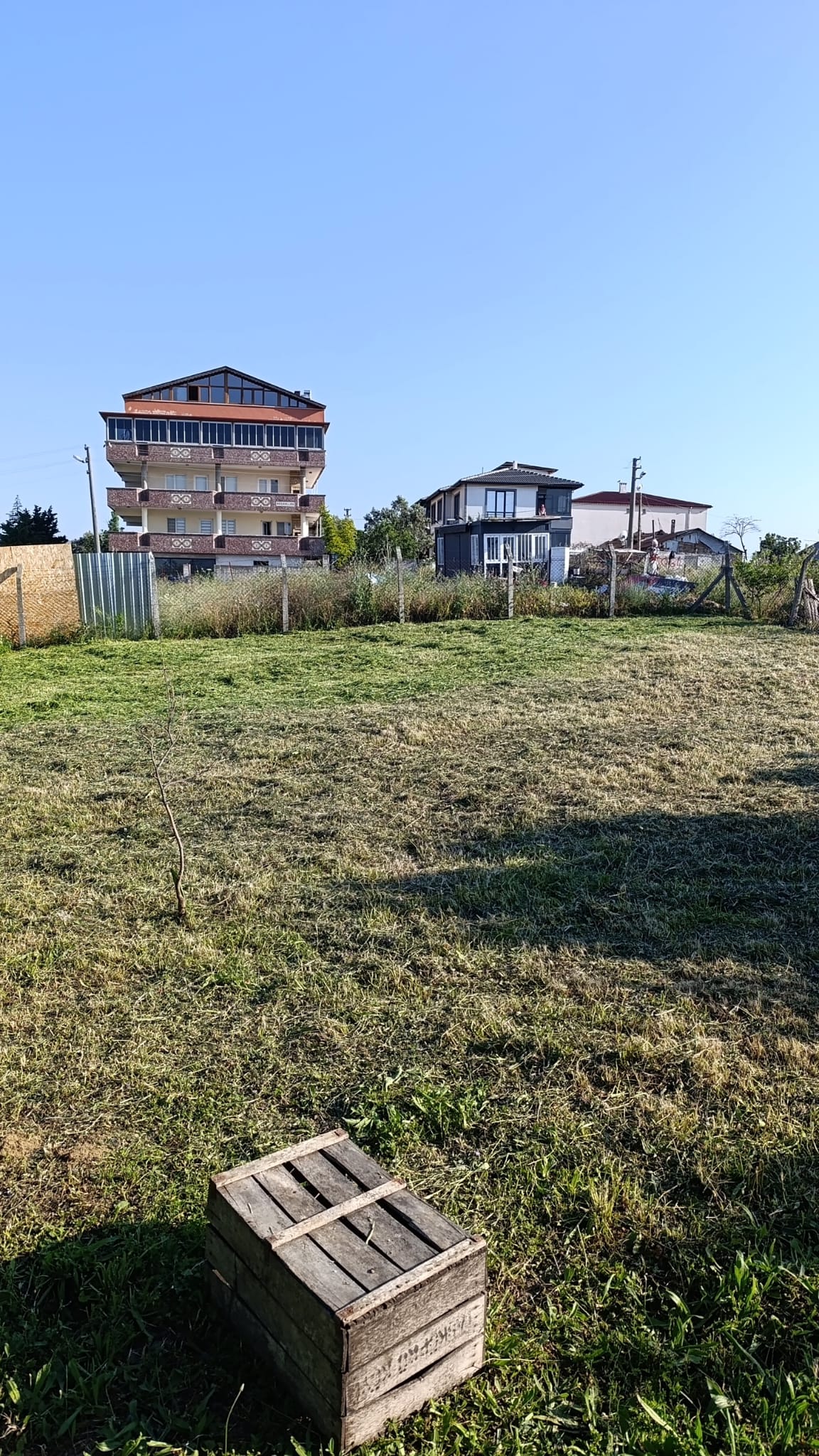 Yalova'da yeni serilmiş rulo çim — Çitlembik Peyzaj