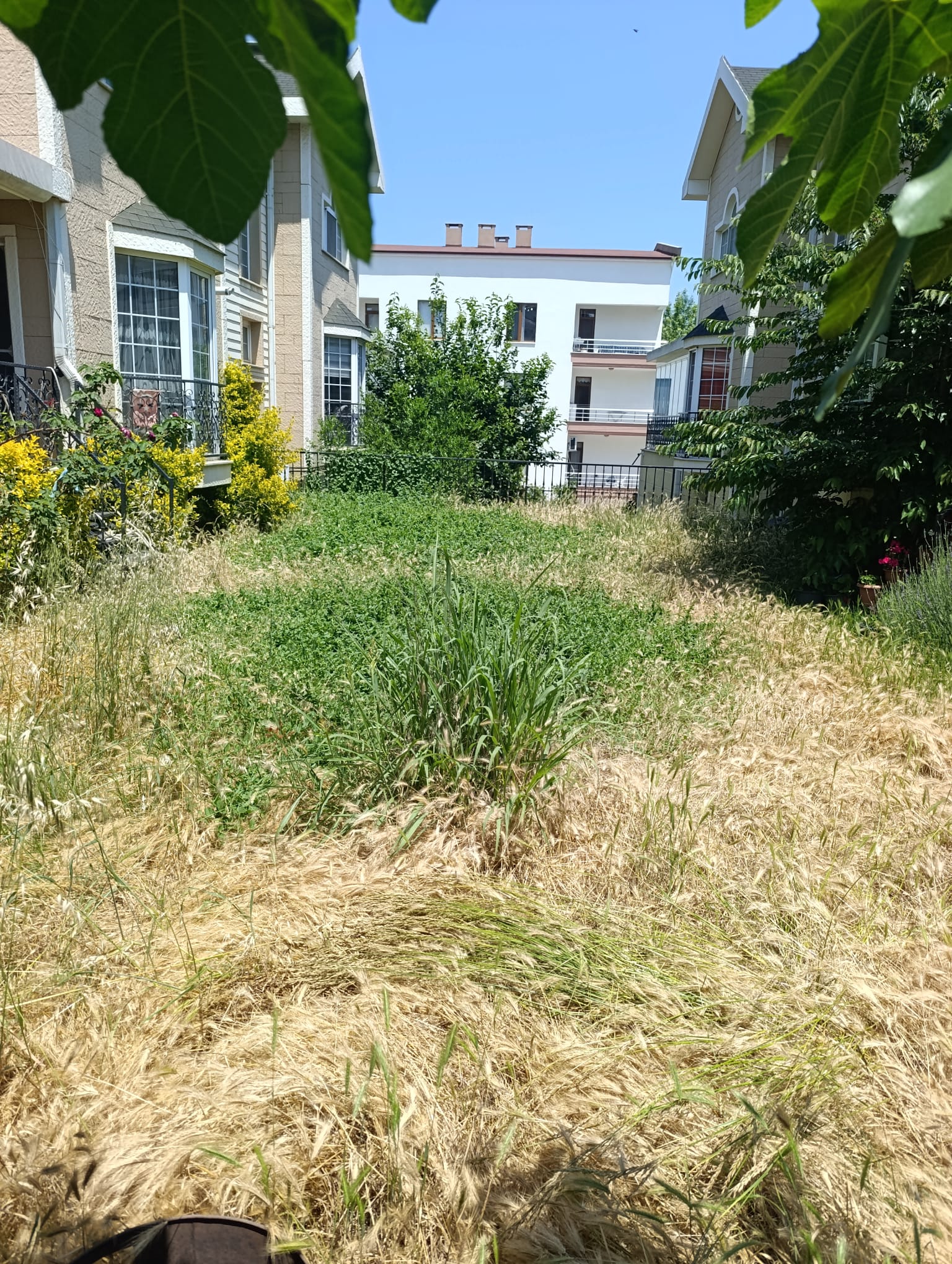 Öncesi — Villa bahçesi · Çınarcık